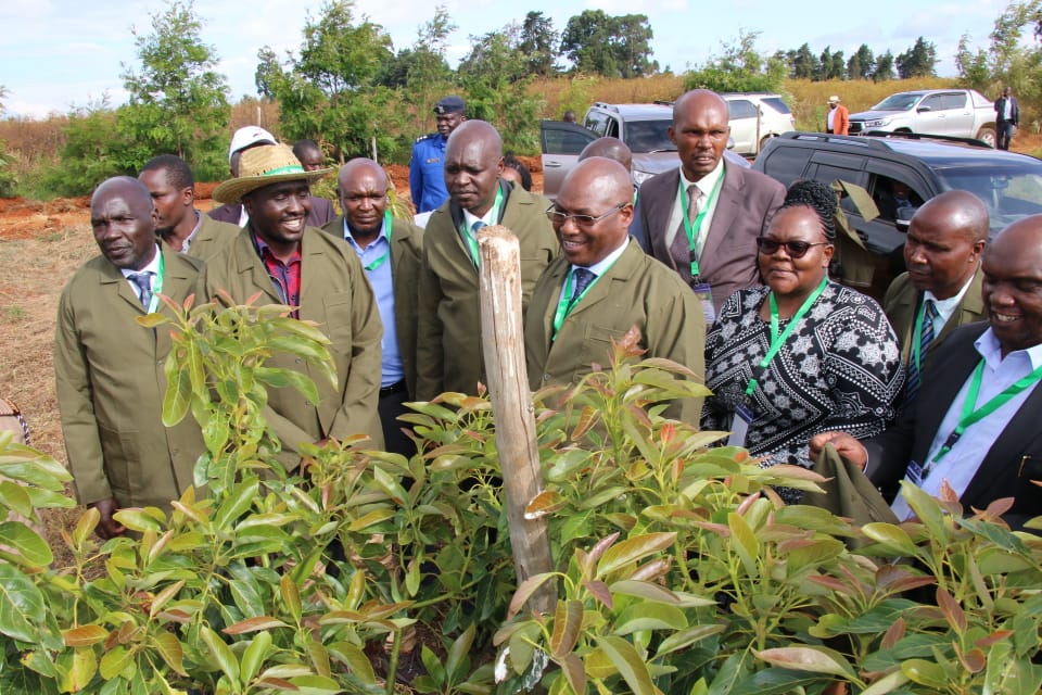 Government urged to establish hub for women in agribusiness