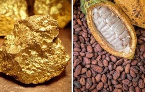 cocoa, gold and crude oil