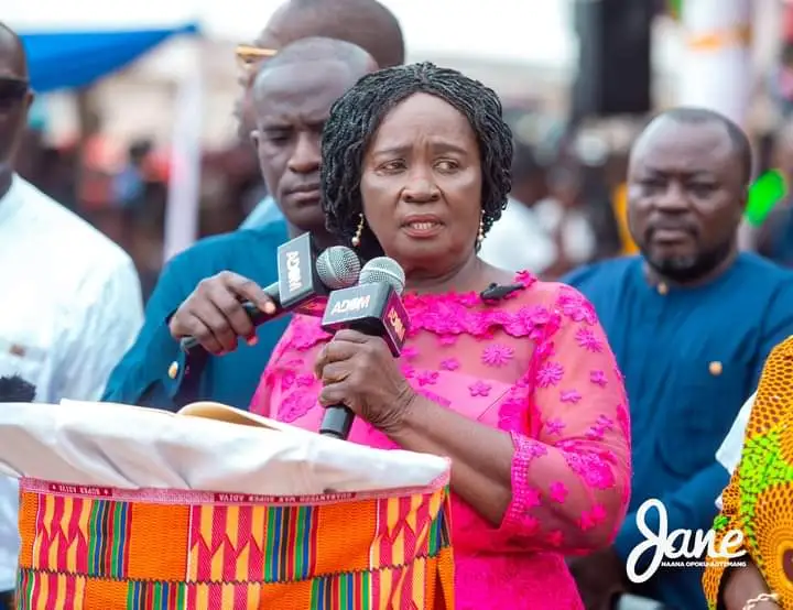 Prof. Jane Naana Opoku-Agyemang