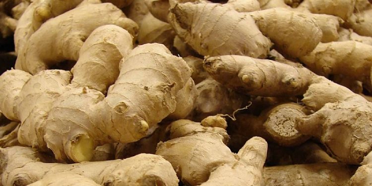 Ginger